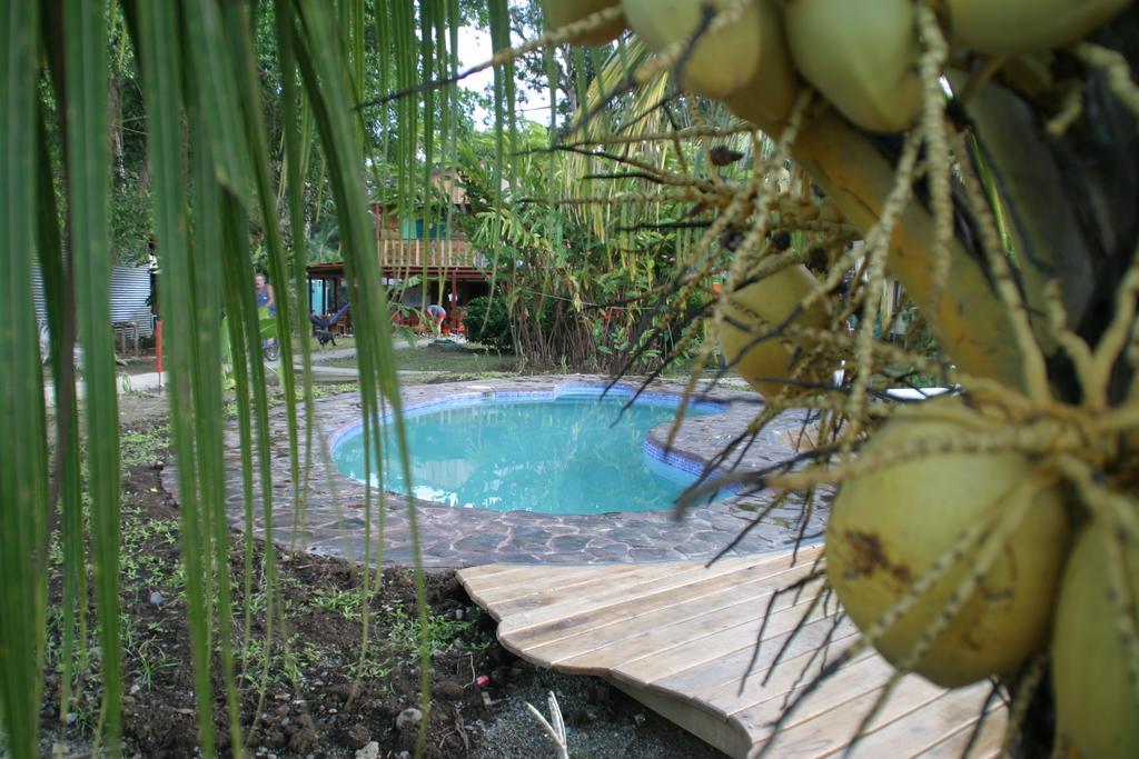 Hakuna Matata Hostel Cahuita Luaran gambar