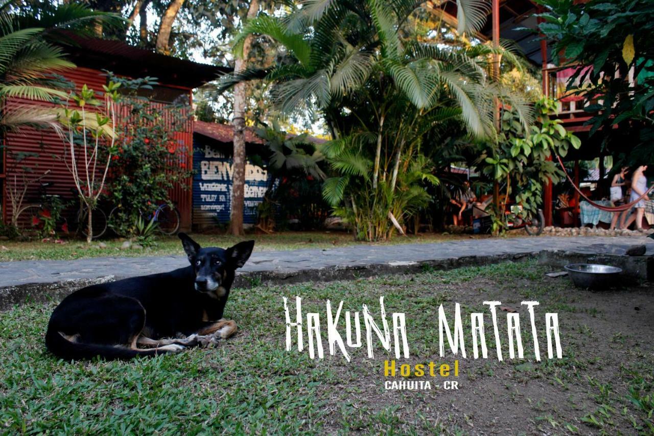 Hakuna Matata Hostel Cahuita Luaran gambar