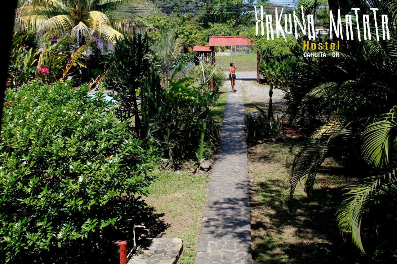 Hakuna Matata Hostel Cahuita Luaran gambar